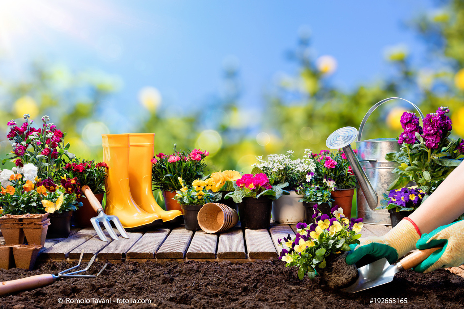 Wohnen Und Garten
 Wohnen und Garten – Vom Indoor bis zum Dachgarten