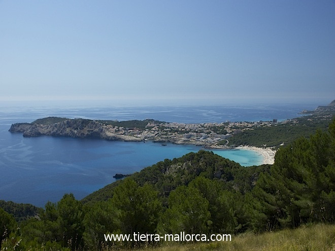 Wohnung Kaufen Cala Ratjada
 Immobilien Cala Ratjada Finca Haus Wohnung kaufen