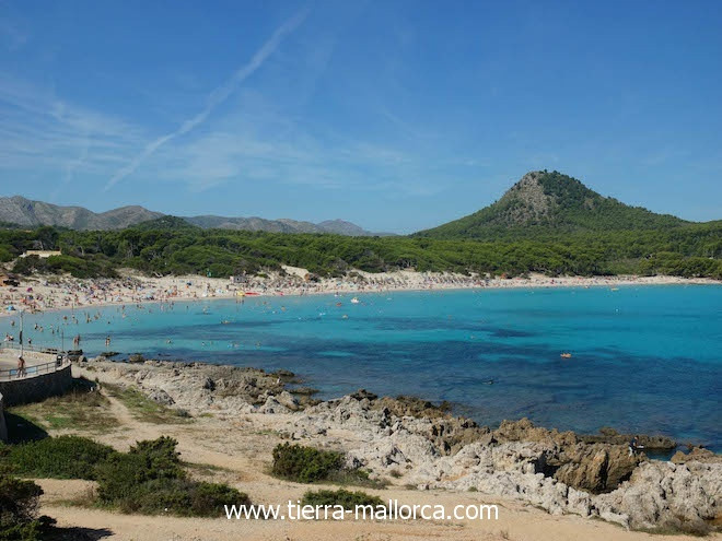 Wohnung Kaufen Cala Ratjada
 Immobilien Cala Ratjada Finca Haus Wohnung kaufen