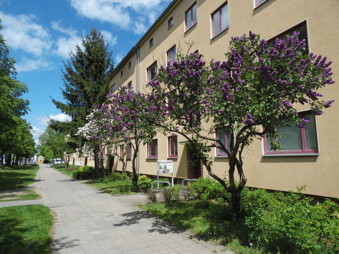 Wohnungen Cottbus
 Immobilien Cottbus Stop Gemütliche 3 Raum Wohnungen