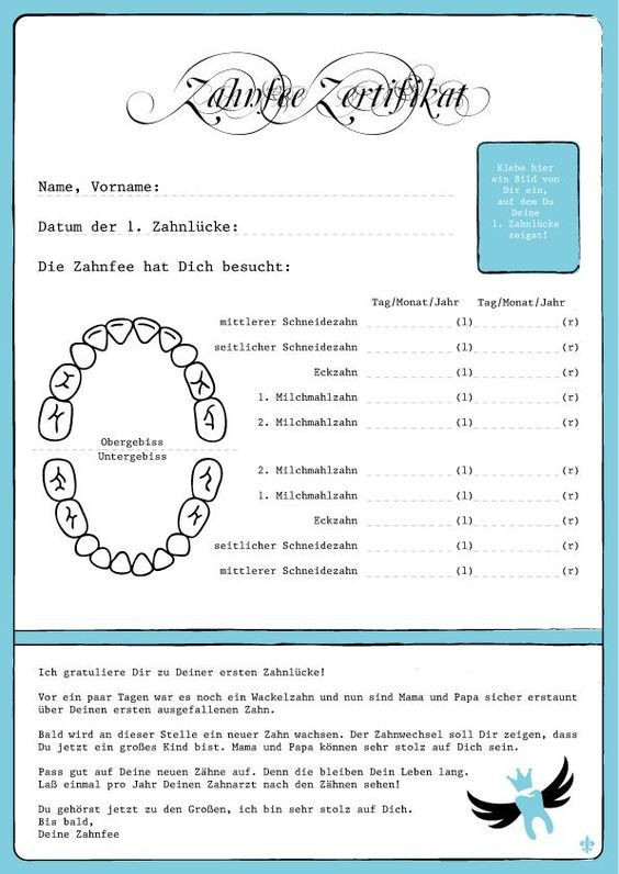 Zahnfee Geschenke
 Zahnfee Zertifikat meins