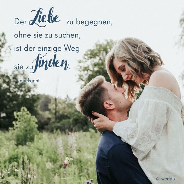 Zitat Zur Hochzeit
 Zitate zur Hochzeit weddix