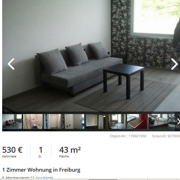 1 Zimmer Wohnung Freiburg
 wohnungsbetrug christian harsefeld web 1