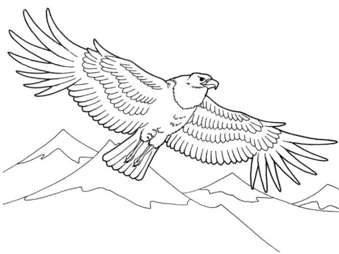 Adler Ausmalbilder
 adler ausmalbilder ausdrucken – MalVor