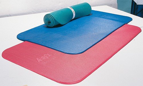 Airex Matte
 AIREX Corona Training Mat with 40 customer ratings