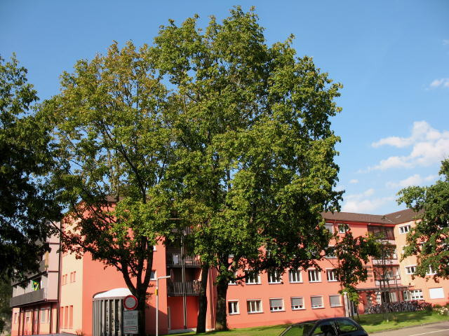 Alban Stolz Haus Freiburg
 Freiburg Dreisamtal Pädagogische Hochschule PH in