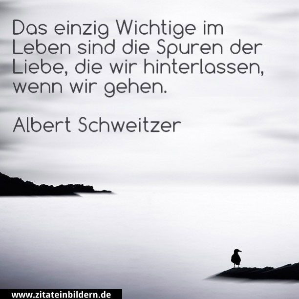 Albert Schweitzer Geschenke
 Die besten 25 Albert schweitzer zitate Ideen auf