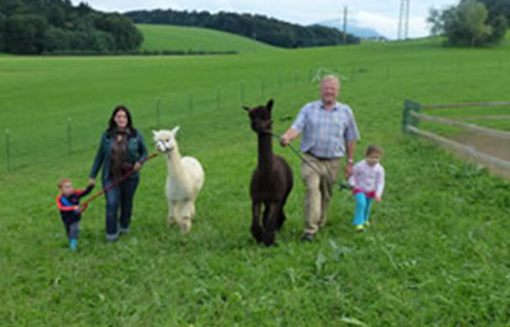 Alpaka Geschenke
 Mattigtal Alpaka Wolle Natur & Mensch