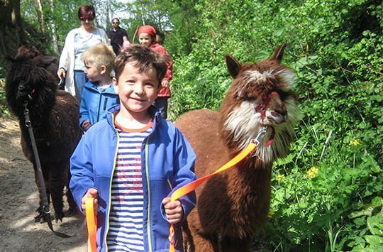 Alpaka Geschenke
 Alpaka Wanderung