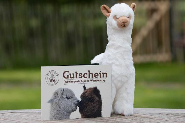 Alpaka Geschenke
 Alpaka Wanderung Gutschein Abolengo de Alpaca