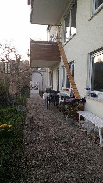 Ameisen Auf Der Terrasse
 Ameisen Auf Terrasse Was Tun was hilft gegen ameisen auf