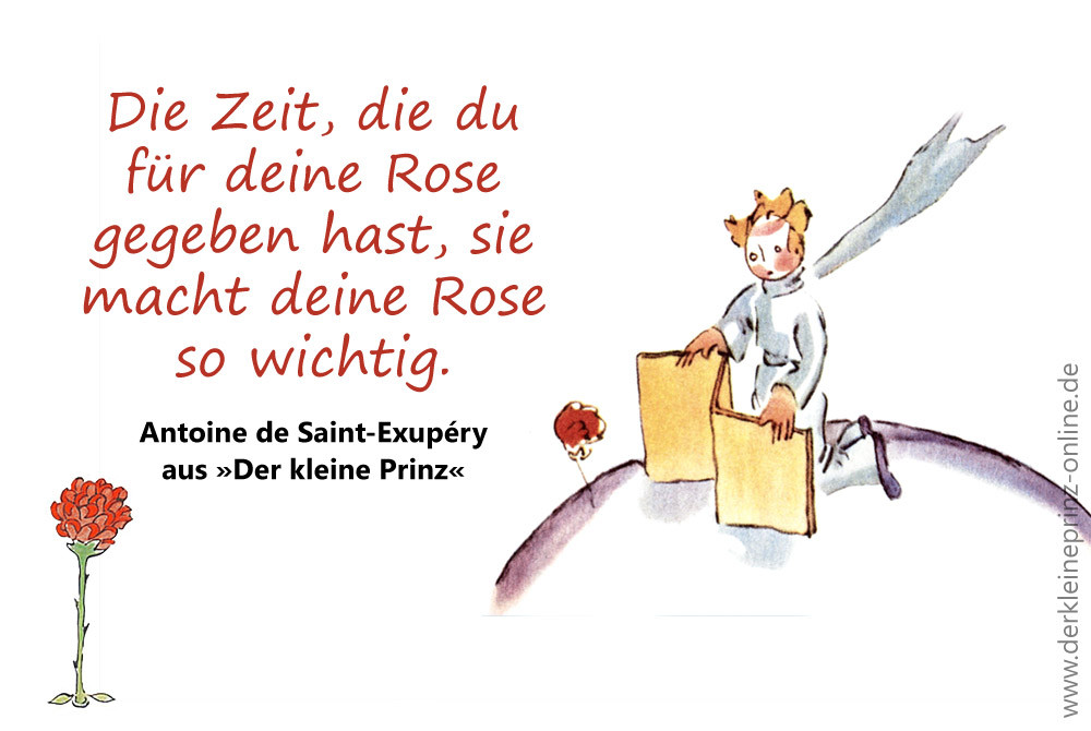 Antoine De Saint-Exupéry Hochzeit
 Zitat Die Zeit du für deine Rose gegeben hast