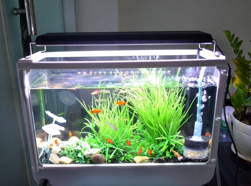 Aquarium Beleuchtung
 RGB Fernbe nung Aquarium Teichfische LED Beleuchtung