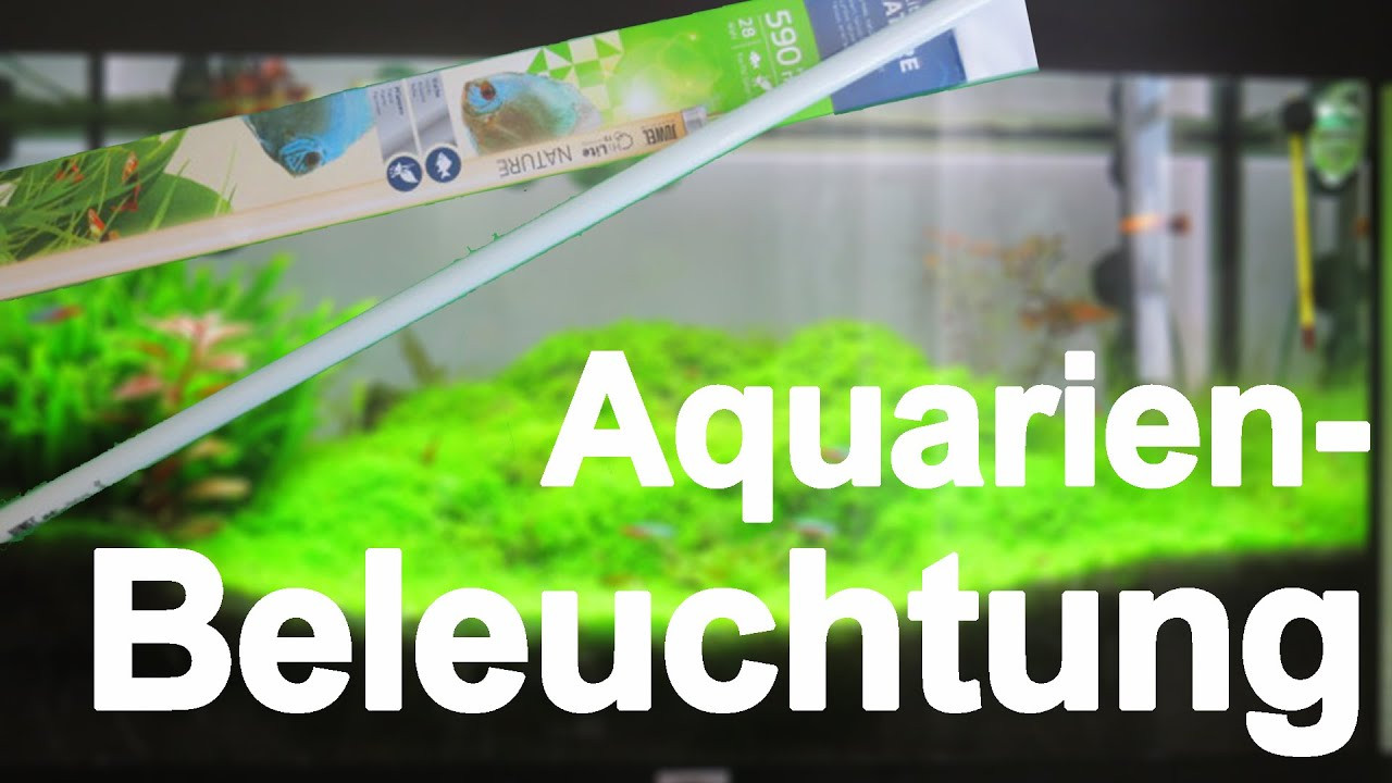 Aquarium Beleuchtung
 Aquarium Beleuchtung AquariumBasics 7