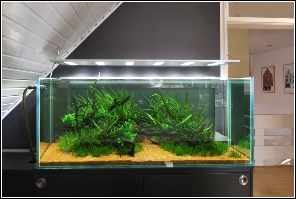 Aquarium Led Beleuchtung
 Aquarium Beleuchtung Mit Led Beleuchtung Hause