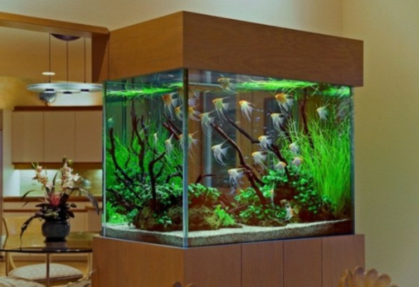 Aquarium Schrank
 Aquarium Schrank schaffen Sie eine exotische Atmosphäre