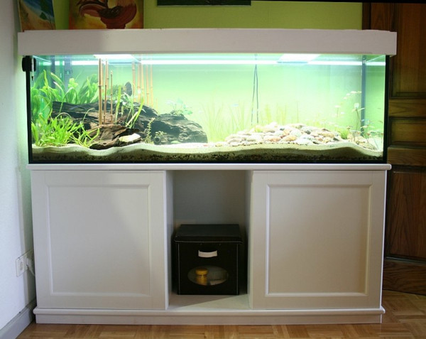 Aquarium Schrank
 Aquarium Schrank schaffen Sie eine exotische Atmosphäre