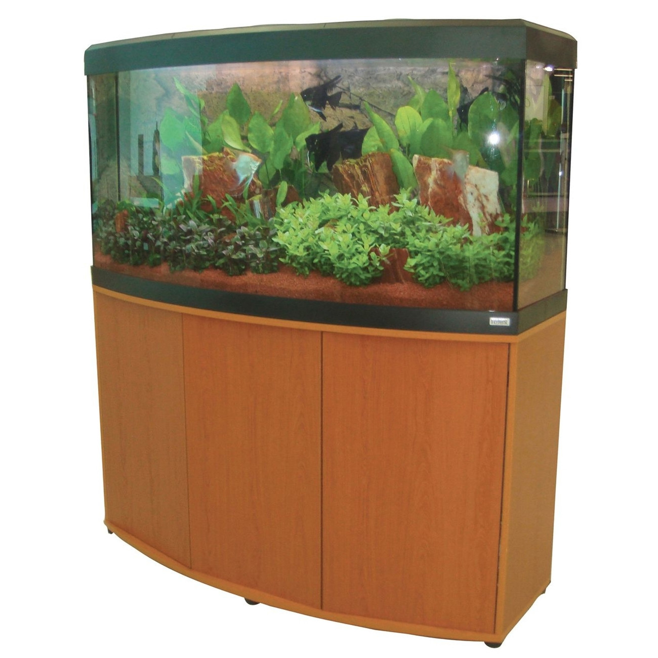 Aquarium Schrank
 Fluval Süßwasser Aquarium mit Schrank Vicenza von Fluval