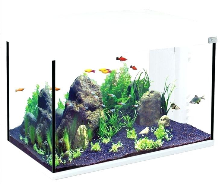 Aquarium Tisch
 Wohnzimmer Tisch Mit Eingebautem Aquarium Blugad s