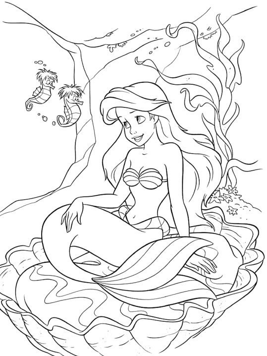 Ariel Ausmalbilder
 Desenhos para pintar da princesa Ariel Desenhos para