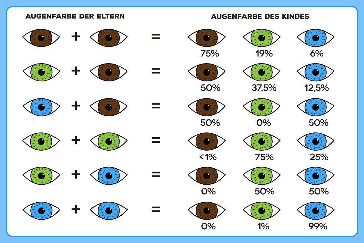 Augenfarbe Vererbung Tabelle
 Welche Augenfarbe bekommt mein Baby Familie