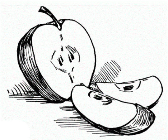 Ausmalbilder Apfel
 Vorlagen zum Ausdrucken Ausmalbilder Apfel Malvorlagen 1