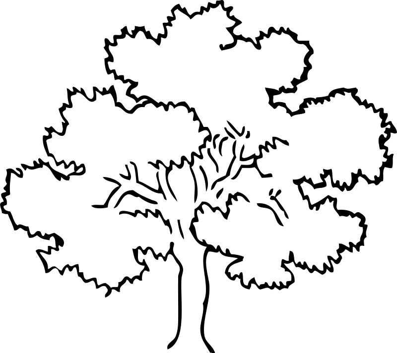 Ausmalbilder Baum
 Ausmalbilder Malvorlagen – Baum kostenlos zum Ausdrucken
