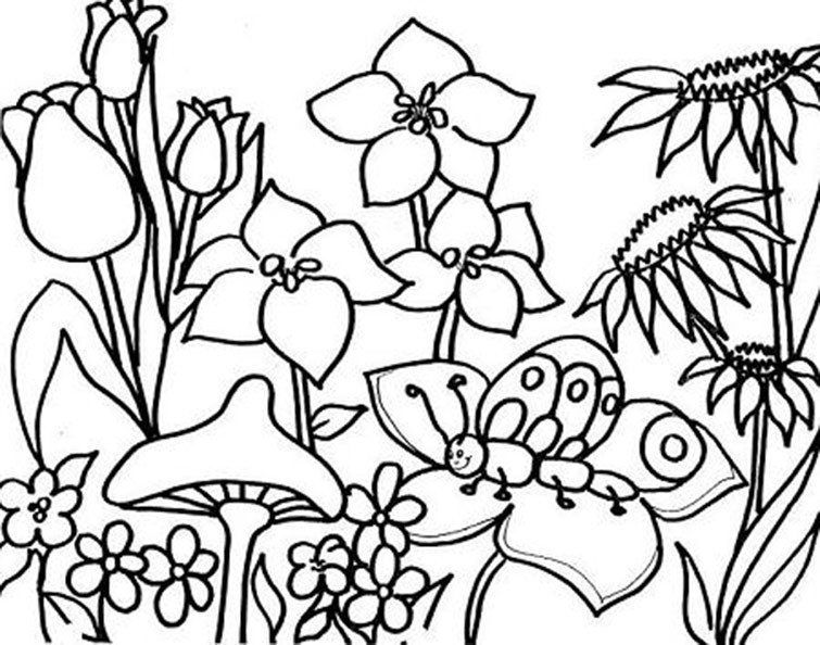 Ausmalbilder Blumen Und Schmetterlinge
 Ausmalbilder Frühling 7