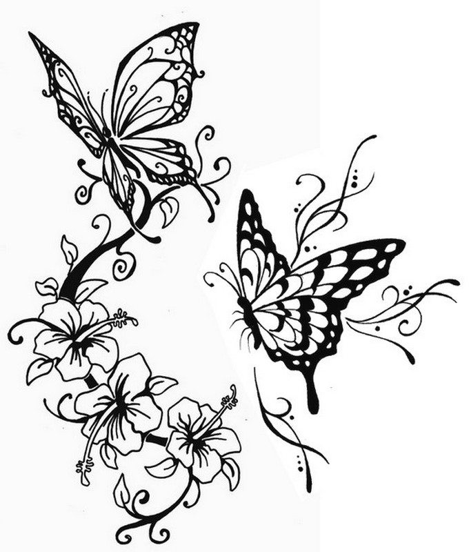 Ausmalbilder Blumen Und Schmetterlinge
 Schmetterlinge Ausmalbilder für Erwachsene kostenlos zum