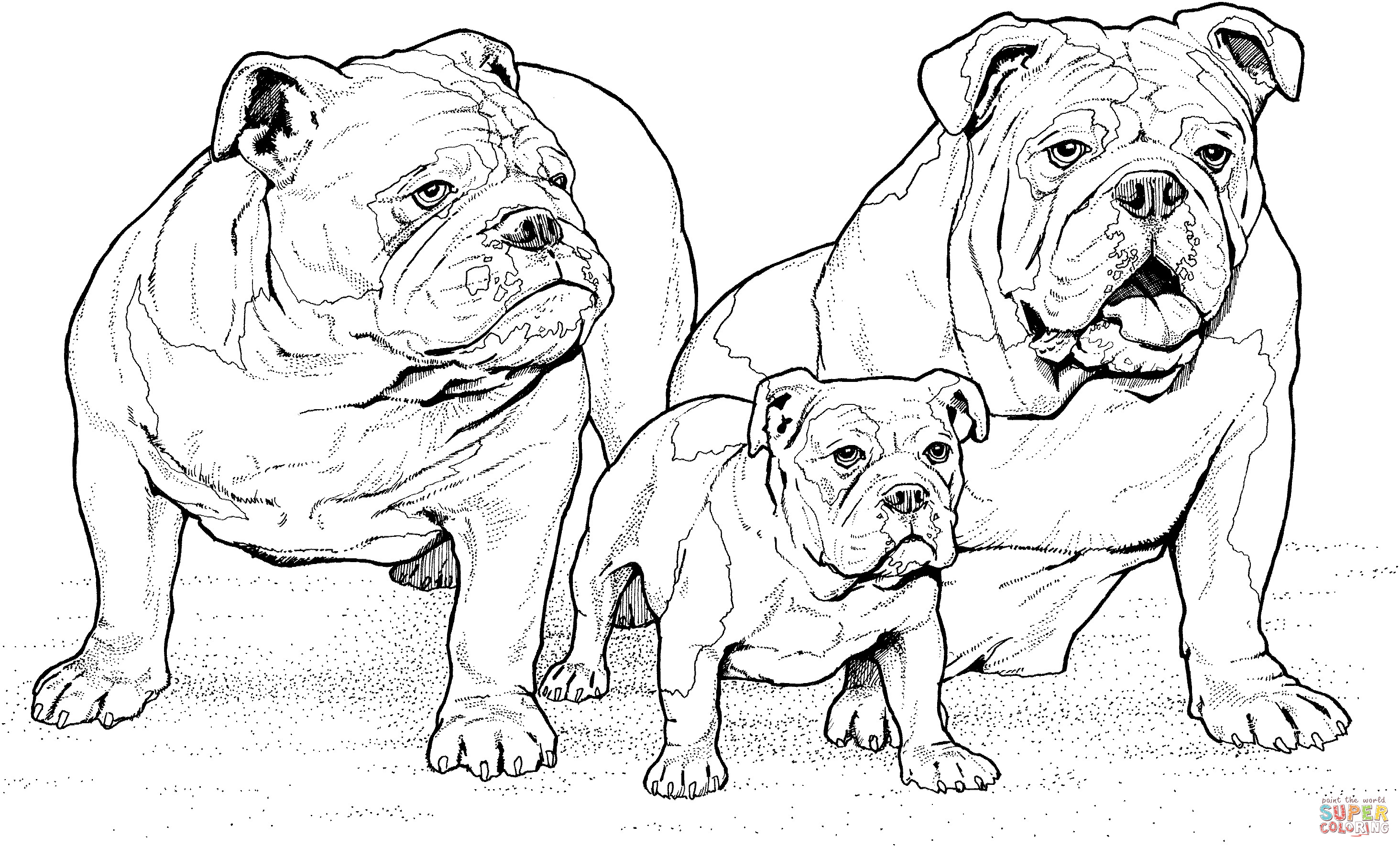 Ausmalbilder Bulldog
 Ausmalbild Englische Bulldoggen mit Welpe