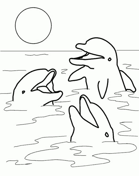 Ausmalbilder Delfine Zum Ausdrucken
 Delfine 5