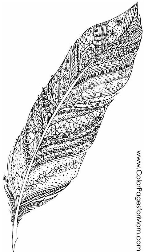 Ausmalbilder Für Erwachsene Feder
 feather coloring page 12 kiara