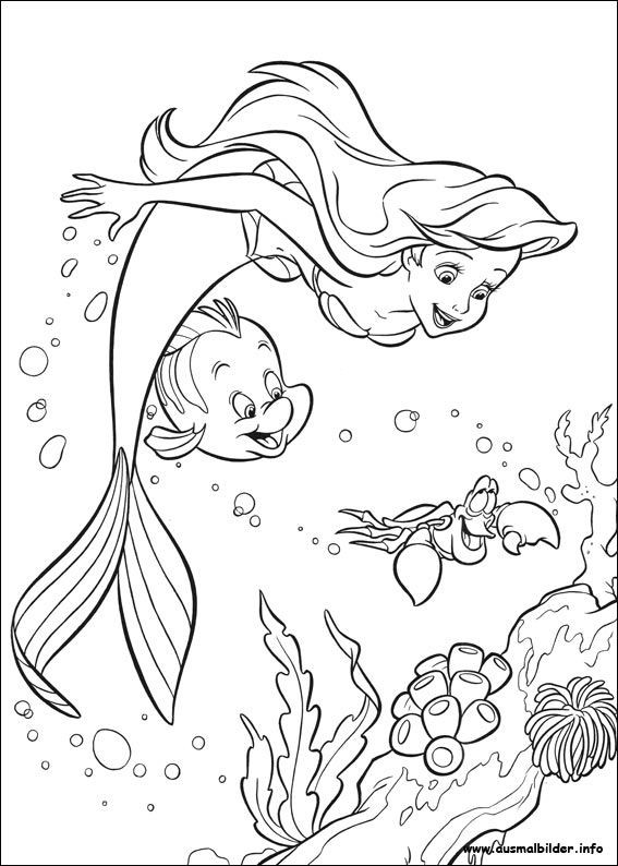 Ausmalbilder Für Kinder Disney
 Arielle Meerjungfrau malvorlagen