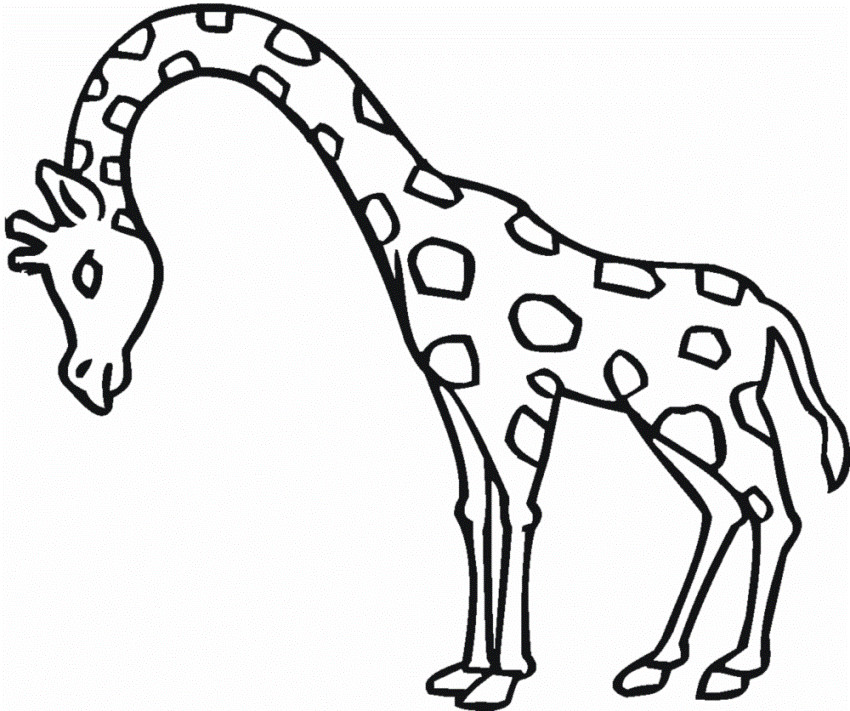 Ausmalbilder Giraffe
 giraffe zum ausdrucken 1046 Malvorlage Giraffe