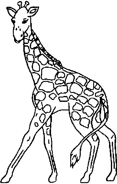 Ausmalbilder Giraffe
 Giraffe