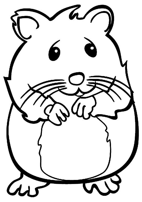 Ausmalbilder Hamster
 print coloring image