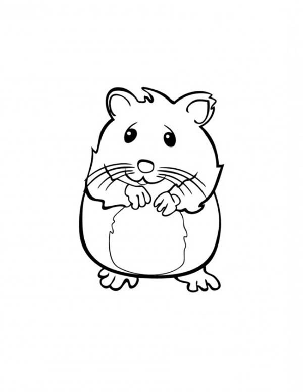 Ausmalbilder Hamster
 Malvorlagen fur kinder Ausmalbilder Hamster kostenlos