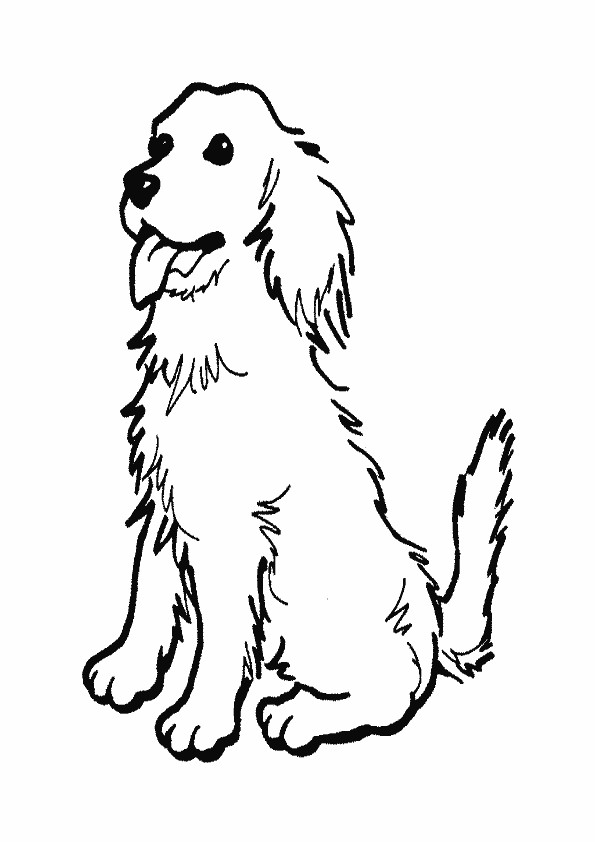 Ausmalbilder Hund
 Ausmalbilder Hunde Ausmalbilder Coloring Pages