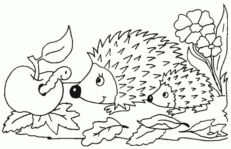 Ausmalbilder Igel
 Ausmalbilder Tiere Igel 979 Malvorlage Tiere Ausmalbilder