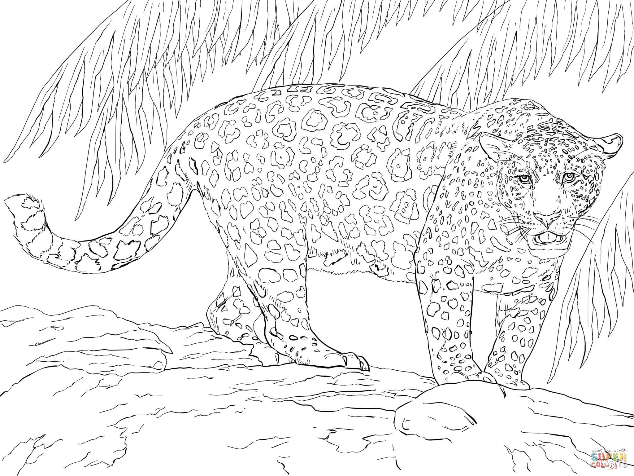 Ausmalbilder Jaguar
 Great Jaguar coloring page