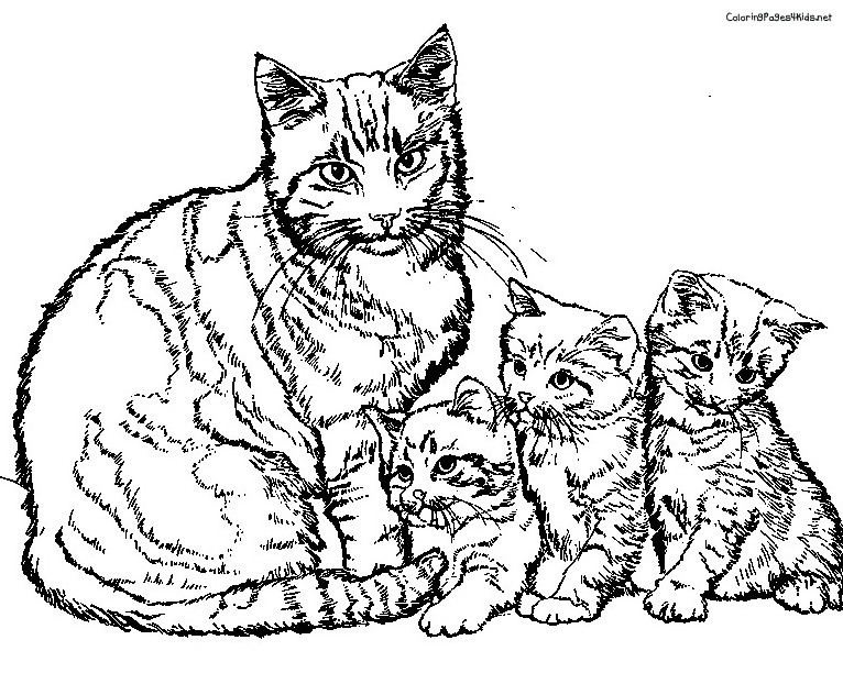 Ausmalbilder Katzen Kostenlos Drucken
 Malvorlagen fur kinder Ausmalbilder Katze kostenlos