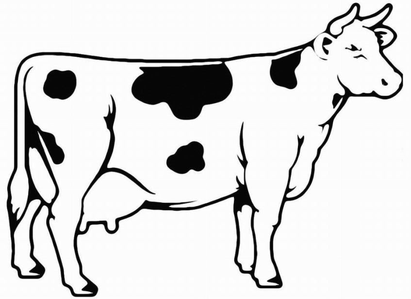 Ausmalbilder Kuh
 Ausmalbilder kuh kostenlos Malvorlagen zum ausdrucken
