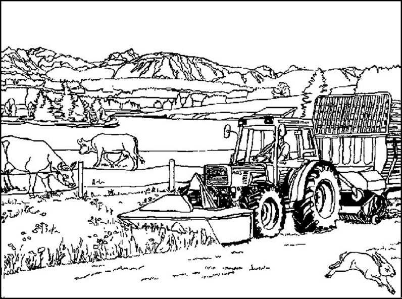 Ausmalbilder Landwirtschaft
 Bauernhof 7
