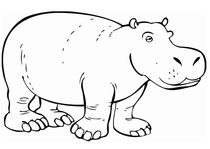 Ausmalbilder Nilpferd
 Free Printable Hippo Coloring Pages For Kids