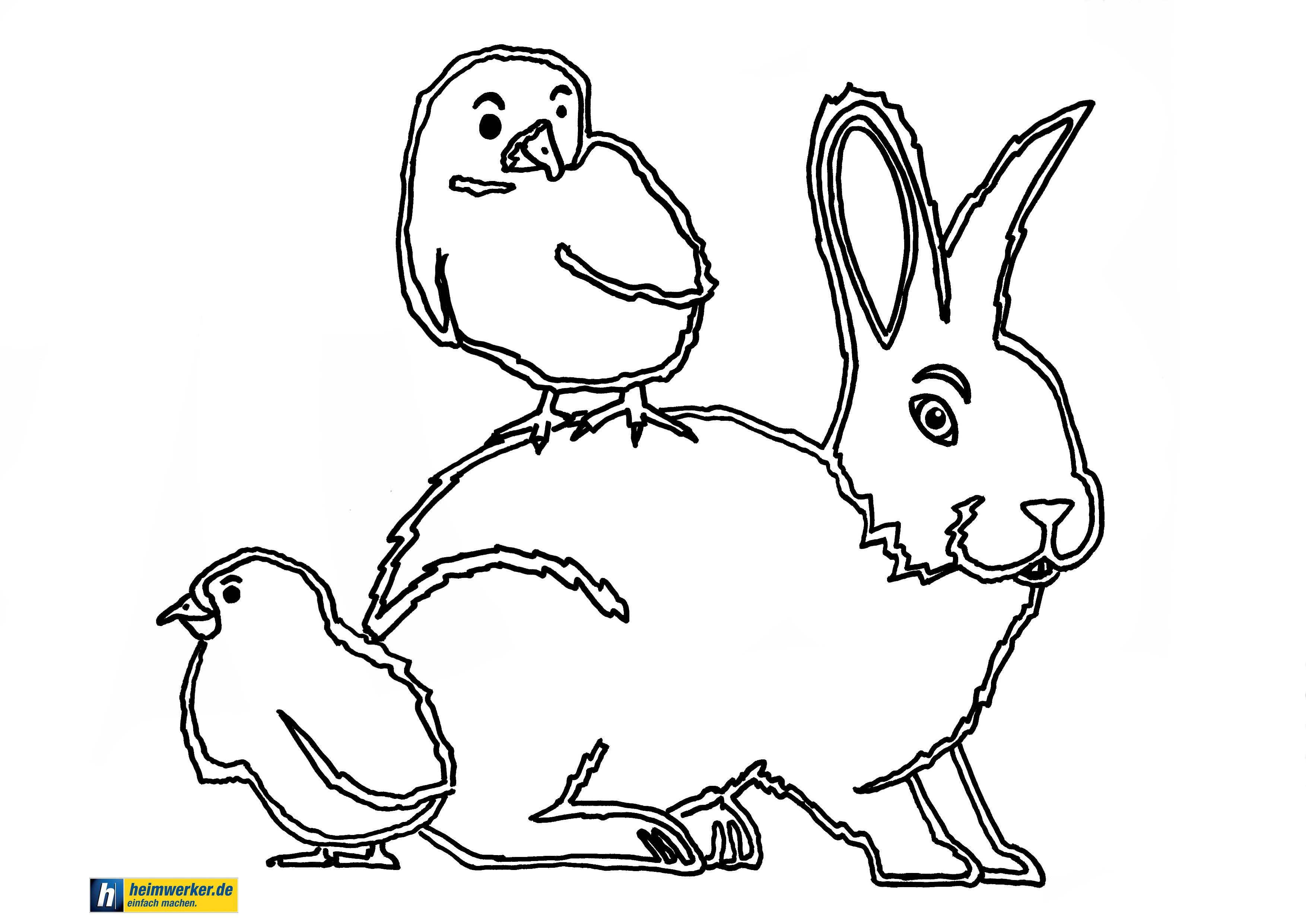 Ausmalbilder Ostern Hase
 Einfacher Osterhase zum Ausmalen 881 Malvorlage Ostern