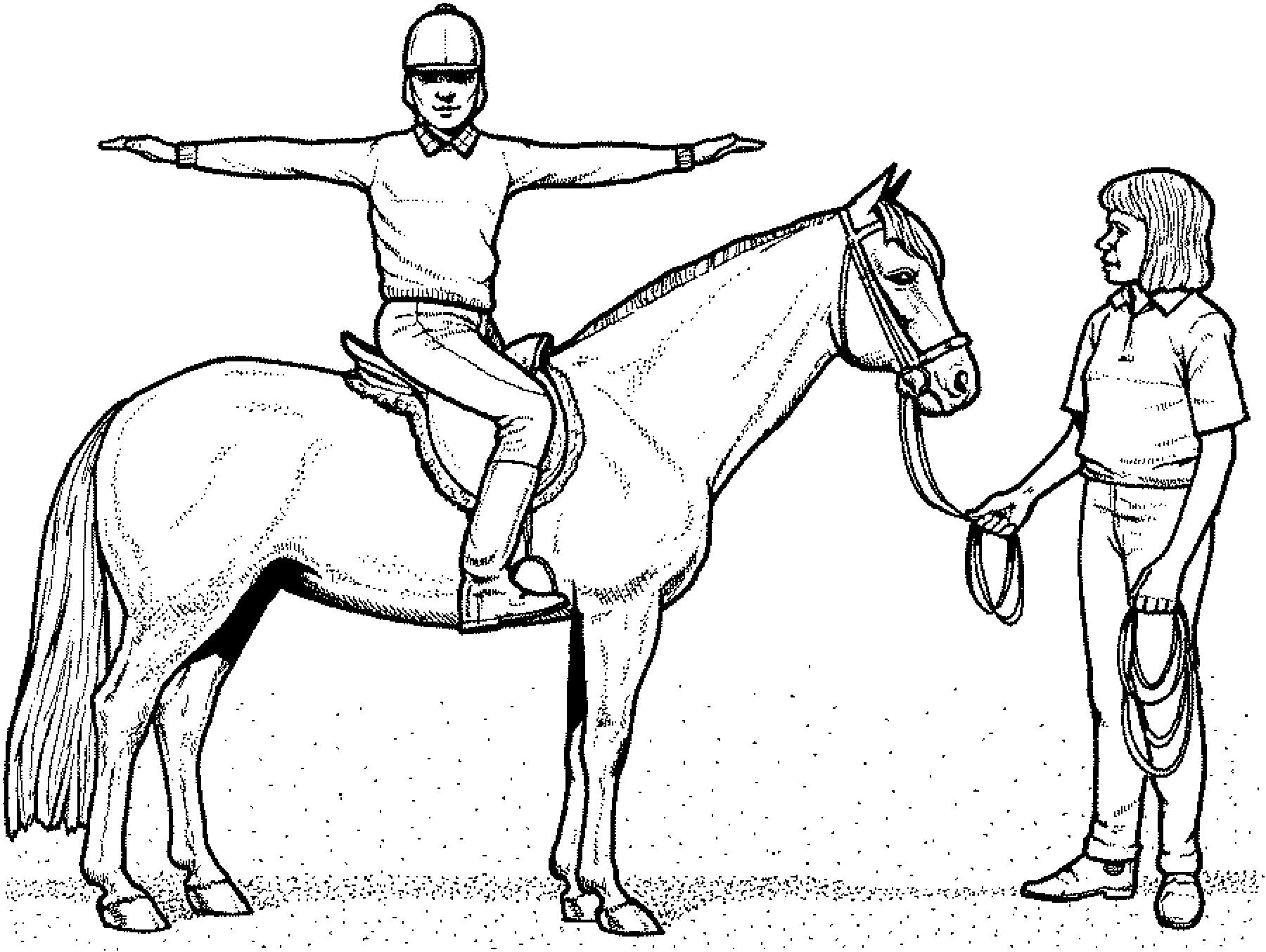 Ausmalbilder Pferd
 Ausmalbilder Pferde Mit Reiterin Ausmalbilder Pferde