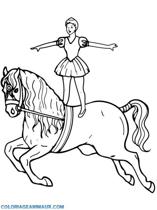 Ausmalbilder Pferde Voltigieren
 Coloriage une danseuse debout sur un cheval à imprimer