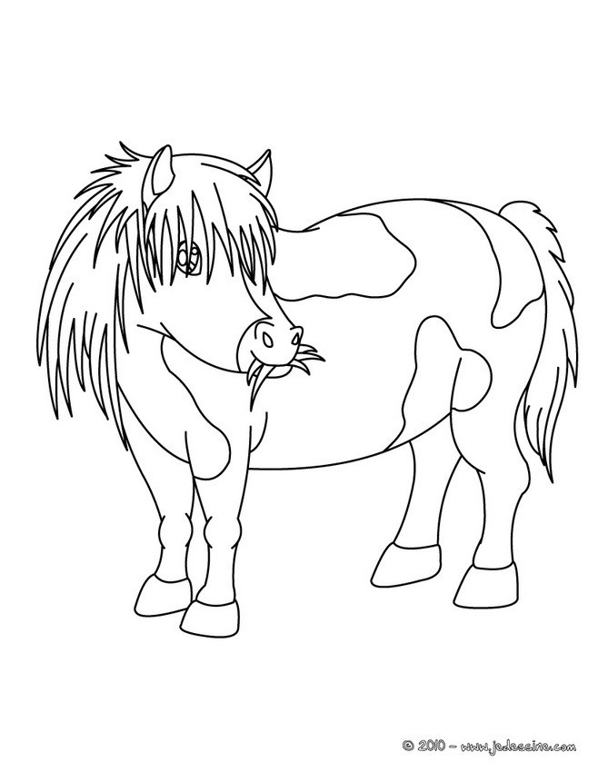 Ausmalbilder Ponys
 Coloriages coloriage d un poney shetland fr hellokids