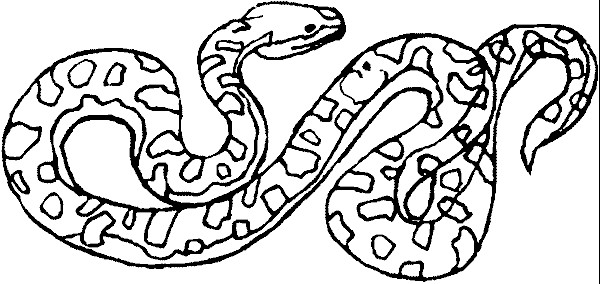 Ausmalbilder Schlange
 sehen malvorlagen tiere ausmalbilder reptilien malvorlage