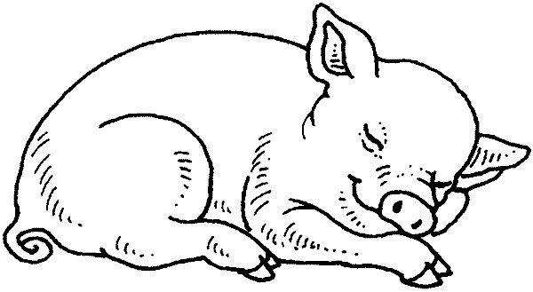 Ausmalbilder Schweine
 Schwein